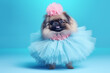 A playful Pekingese puppy dons glamorous high-end couture, standing out on a bright background. This creative animal concept is perfect for advertisements, birthday party invites, invitations, banners