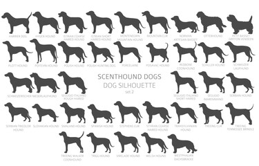 Wall Mural - Dog breeds silhouettes with lettering, simple style clipart. Hunting dogs Scentounds, hounds collection