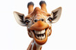 photorealistic mid portrait of a giraffe with a big teeth smile and huge eyes on a white background. ai generative