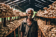Indian man tends to mushrooms in vertical greenhouse beds, pioneering space saving technology for healthy and efficient food production. A transformative stock photo