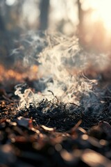 Leinwandbilder - A close-up view of a fire with smoke billowing out of it. This captivating image captures the intensity and power of flames, creating a visually striking scene.