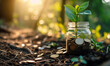 Conceptual Image of Financial Growth and Sustainability with a Young Plant Growing from a Jar of Coins in Fertile Soil Under Sunlight