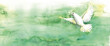 weiße Taube fliegt mit ausgebreiteten Flügel und Zweig, lindgrüner Hintergrund, Aquarell
