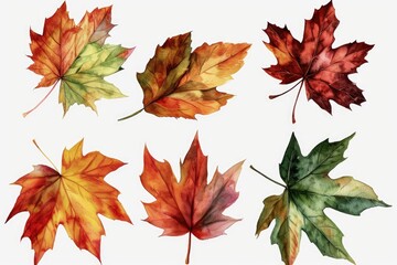Poster - Colorful leaves arranged on a white surface. Versatile image suitable for various autumn-themed projects