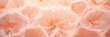 A close-up image of vibrant dandelions against a peach fuzz color background. Suitable for spring-themed designs, nature concepts, or any projects that require a touch of beauty and delicacy.