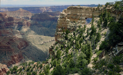 Sticker - View of the Grand Canyon, North Rim, Arizona, United States