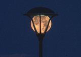 księżyc w pełni na tle latarni ulicznej wygląda jak lampa