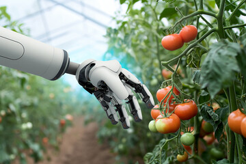 Fototapete - Robot is working in greenhouse with tomatoes. Smart farming and digital agriculture 4.0..