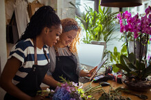 Two Young Female Florists Working Together In Flower Shop