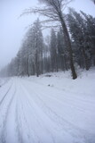 Fototapeta Pomosty - Snowy road in Sudety mountains, Poland