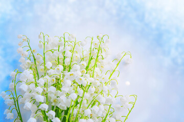 Wall Mural - Blurred floral natural background. Soft focus. Spring landscape. flowers lily of the valley