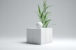 3D rendering of a plant on a white pedestal