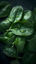 Fresh Spinach Leaves Seamless Background, Adorned With Glistening Droplets Of Water. Top Down View. Shot Using A Hasselblad Camera, ISO 100. Professional Color Grading. Soft Shadows. Clean Sharp Focus
