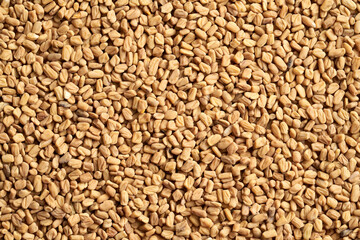 Poster - Background made of fenugreek or Trigonella seeds