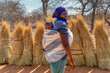 African woman carrying the baby in the back wrapped in a towel the traditional way, thatch grass in the background , village life.