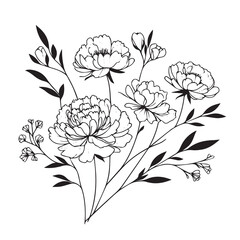  Hand drawn floral minimal elements in line art style. Greenery for decoration, wild and garden plants, branches, leaves. Vector illustration for logo. peony flower