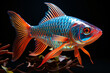 Red Neon tetra fish