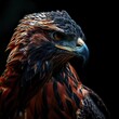 Portrait majestic of Javan Hawk-Eagle isolated on the black background