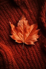Wall Mural - Close-up of a single autumn leaf on a woolen sweater AI generated
