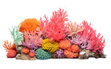Fototapeta Do akwarium - Exploring the Coral Wonders of the Deep Isolated on Transparent Background PNG.