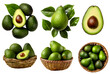 Green avocado avocados, many angles and view side top front sliced halved bunch cut isolated on transparent background cutout, PNG file.
