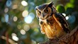 An owl, its glow radiant and white, perches on a tree branch, its detail superb and wisdom evident.
