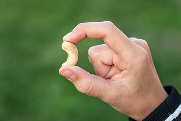 Woman hand seeding cashew nut in garden. hazelnut in a shell in his hands on a green background.