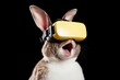 Rabbit amazed in a virtual reality gaming experience on solid background