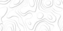 Abstract Wavy Line 3d Paper Cut White Background. Abstract White Background With Smooth Wavy Layers. Silver Grid Map Line Topography Mount Contour Map .