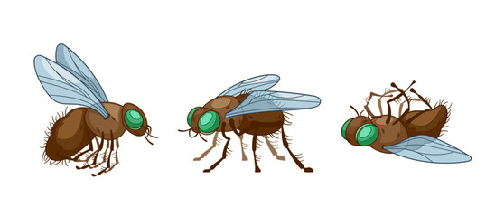 Cartoon Vector Flies in Different Poses. Insect with Vibrant Wings And Intricate, Delicate Body, Airborne Creature