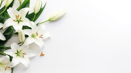  flowers white pastel lilies composition on a white background copy space template