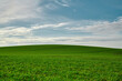 © Axel - beautiful unobstructed view of a lush green field under a friendly blue, partly cloudy sky, screensaver, windows xp