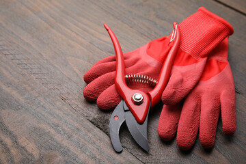 Wall Mural - Pair of red gardening gloves and secateurs on wooden table, space for text