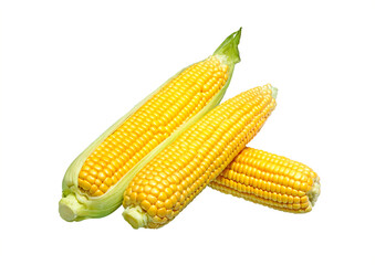 Sticker - Corn on white