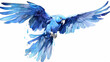 blue parrot in flight, isolated on a white background with a blue macaw print