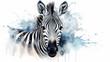 zebra, watercolor illustration on a white background, liquid paint spots, print for design