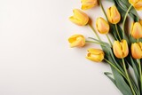 Fototapeta Tulipany - Beautiful composition of tulip, spring flowers. Yellow tulips flowers on white background. Valentine's Day, Easter, 8th march, Happy Women's Day, Mother's Day. Flat lay, top view, copy space