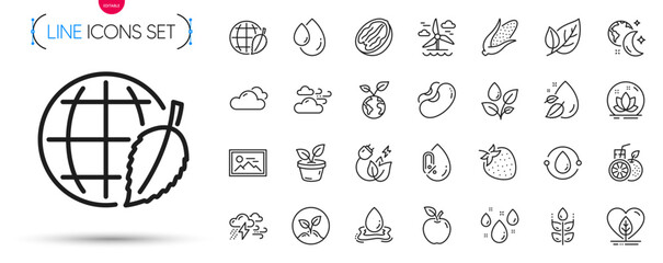 Pack of Gluten free, Green energy and Strawberry line icons. Include Water splash, Plants watering, Water drop pictogram icons. Bad weather, Windy weather, Pecan nut signs. Apple, Sleep, Lotus. Vector