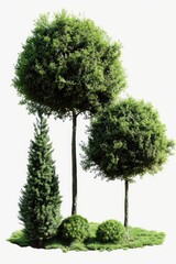 Poster - A picture of a couple of trees sitting on top of a lush green field. Perfect for nature-themed designs and environmental concepts