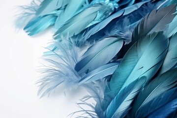 Wall Mural - Beautiful blue feathers on white background. Generative AI