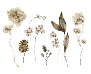 Watercolor floral beige set. Hand painted forest tree branches, berries, dried flowers, leaves, cones isolated on white background. Floral brown botanical clip art for design or print