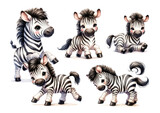 Fototapeta Dziecięca - set of watercolor cute safari zebra isolated on white background