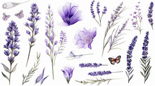 Lavender Objects Isolated On A White Background, Blades Of Grass And Flowers In Watercolor Style, Set Collection