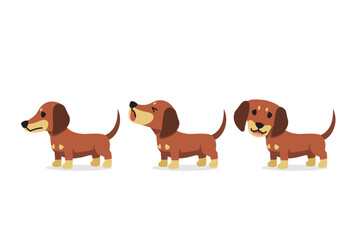 Wall Mural - Set of vector cartoon character dachshund dog for design.
