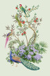 garden with peacock, parrot and bird vector illustration