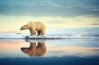 lone polar bear standing at the edge of an ice floe at dusk
