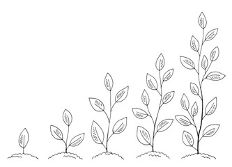 Fototapete - Sprout set graphic garden black white isolated illustration vector