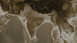 India outlined. Sepia elevation map