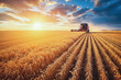 A combine harvester working through a field of golden wheat at sunset, illustrating the beauty of agricultural life and the harvest season.