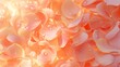 Petals background in peach fuzz color